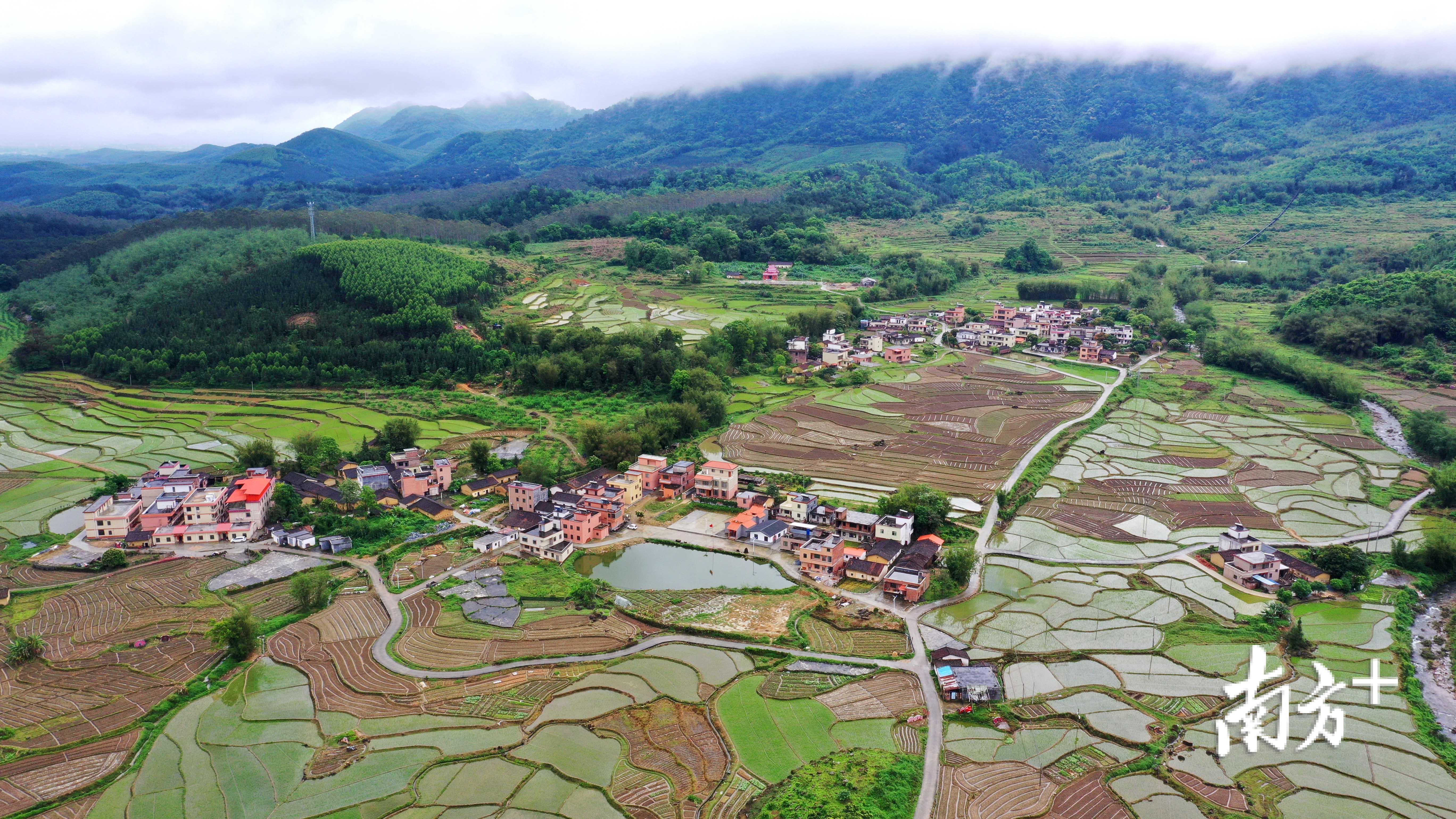 2018年,西约村贫困户全部实现脱贫,有劳动能力贫困户年人均收入达