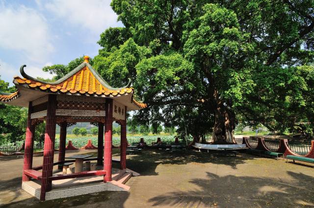 6,鼎湖区沙浦镇述职摘要