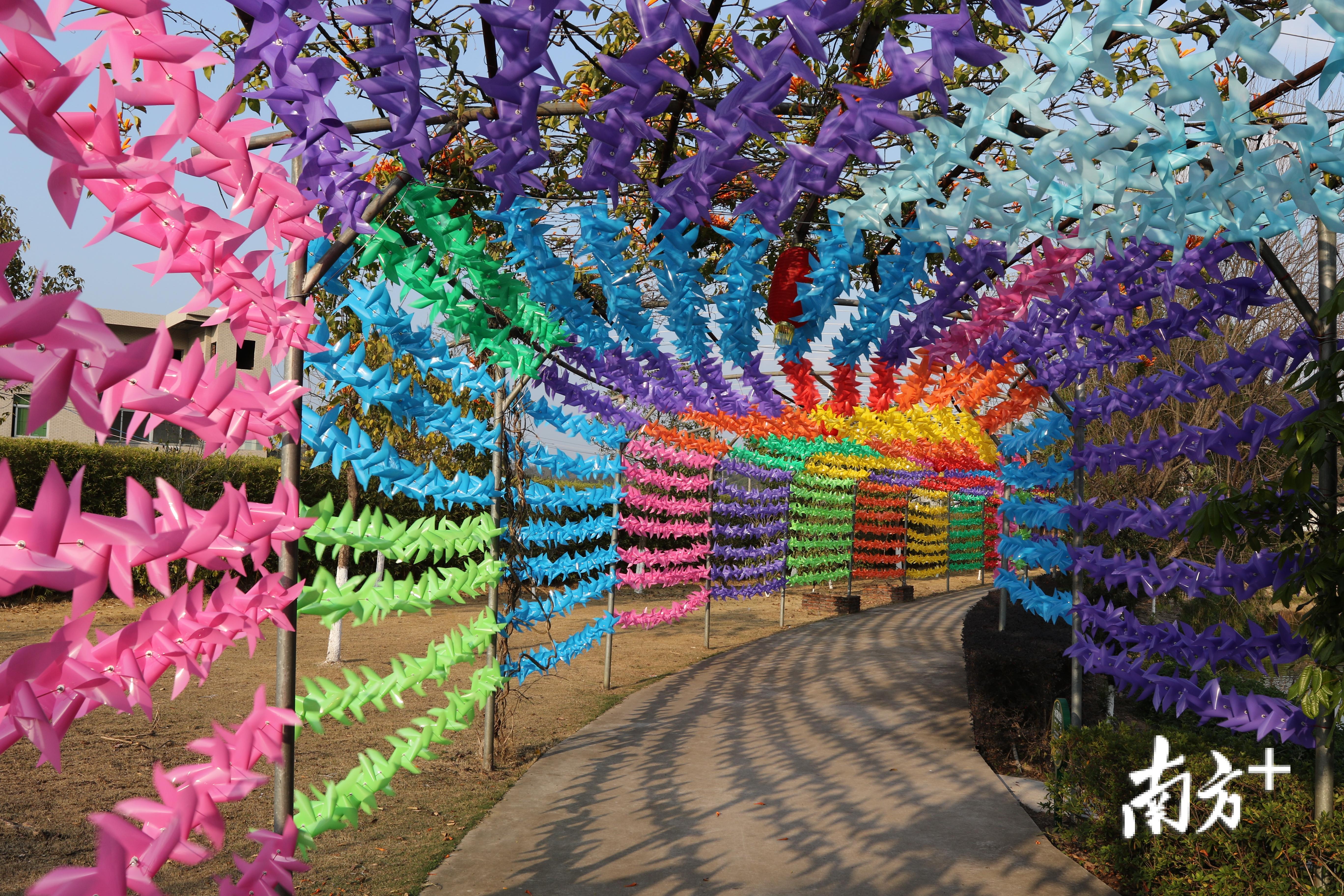 人行道上串起五颜六色的风车，置身其中，仿佛进入童话世界。