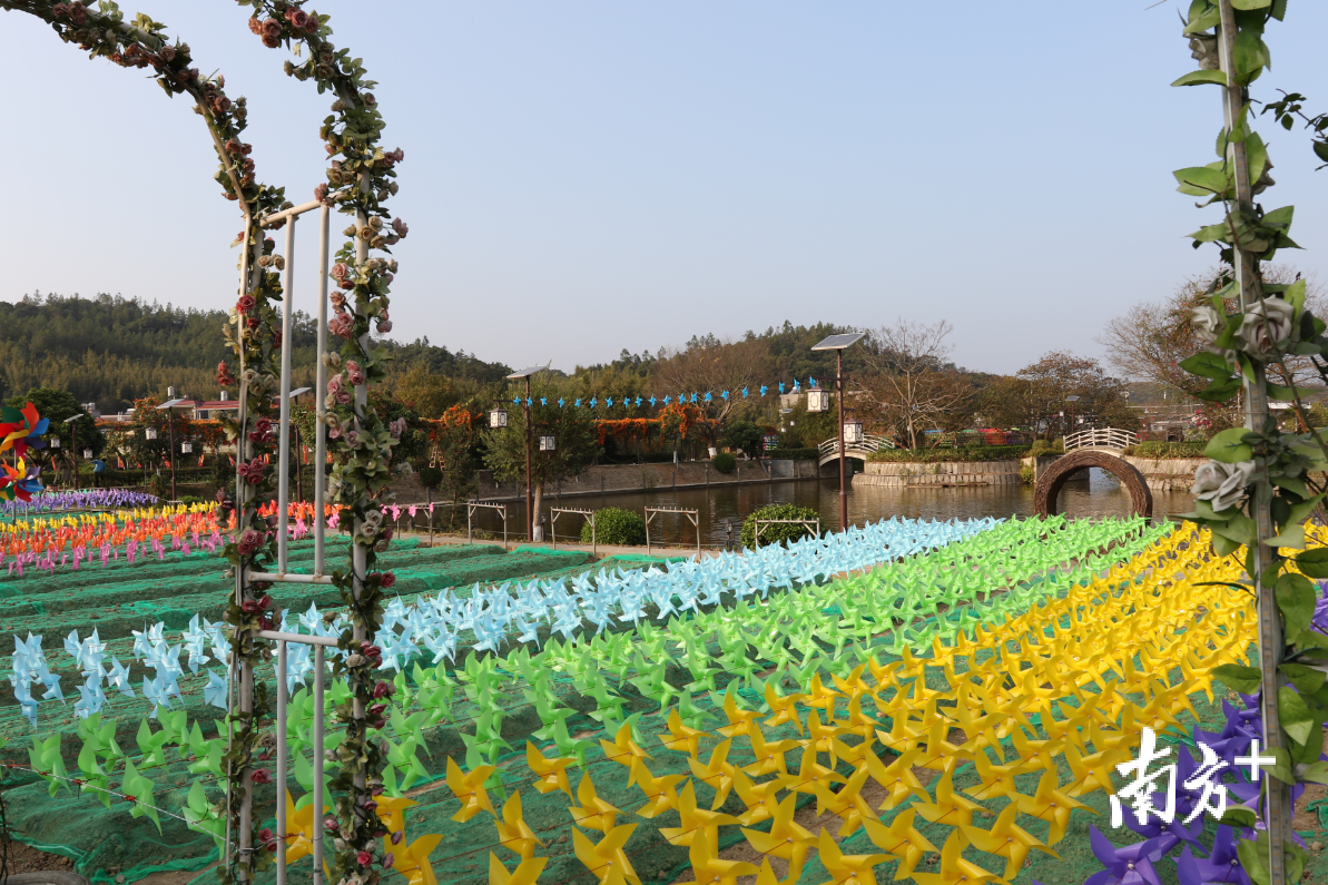 旅游区生态农庄挂起五彩缤纷的风车，增添了浓厚的节日气氛。