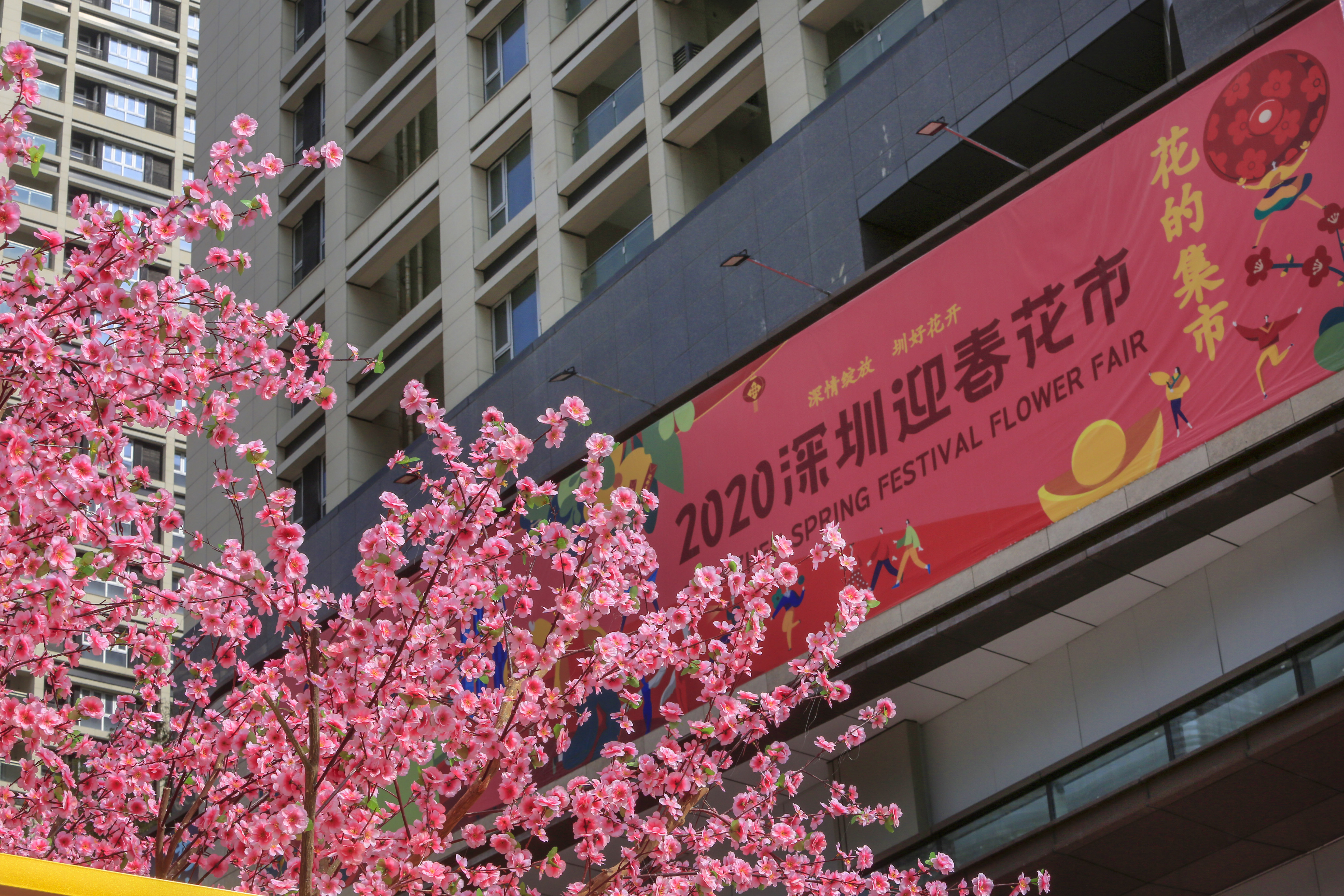 深圳迎春花市开幕,除夕夜可以逛到12点!