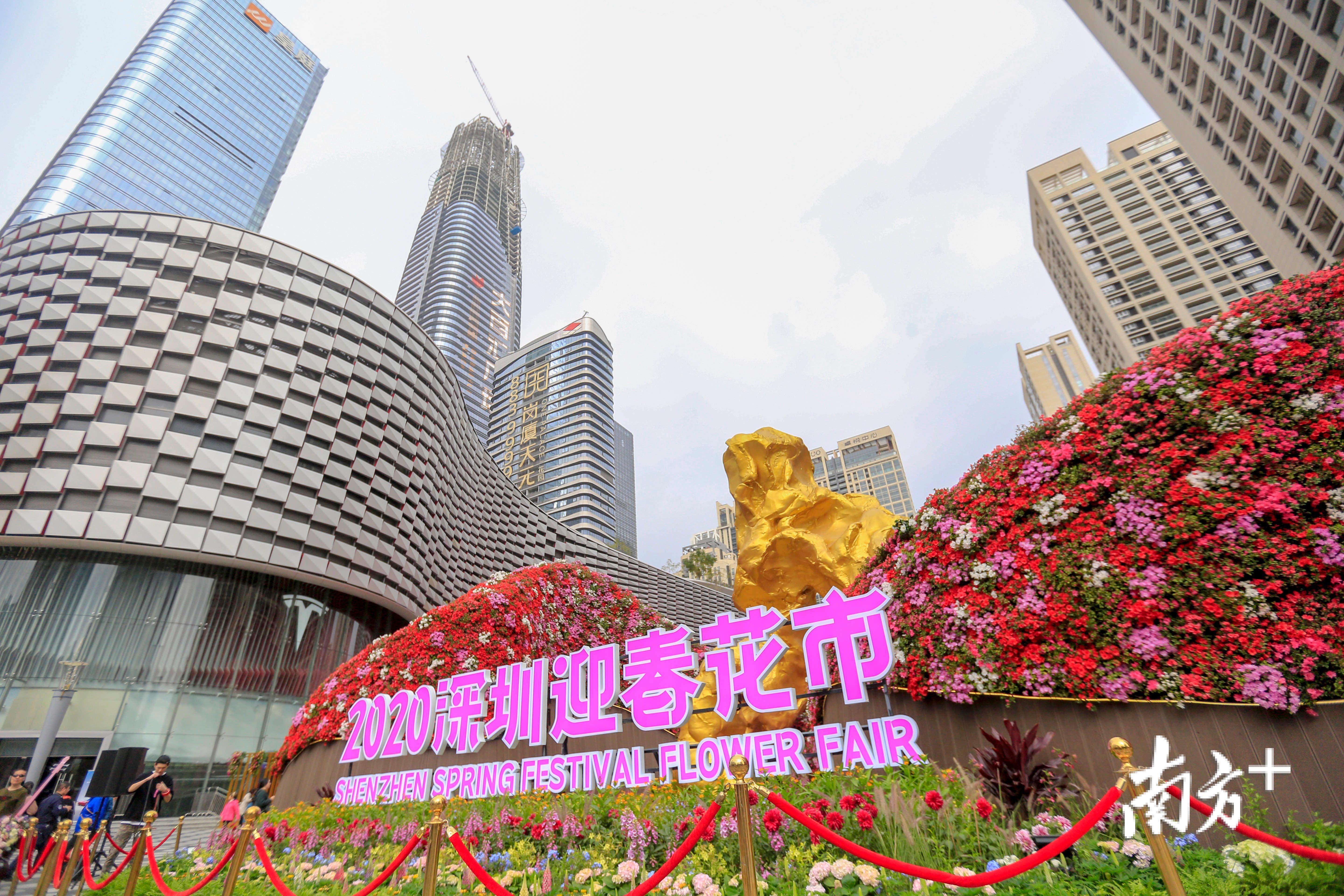 1月18日上午,2020深圳迎春花市中心会场在福田区中心 · 天元中央大街