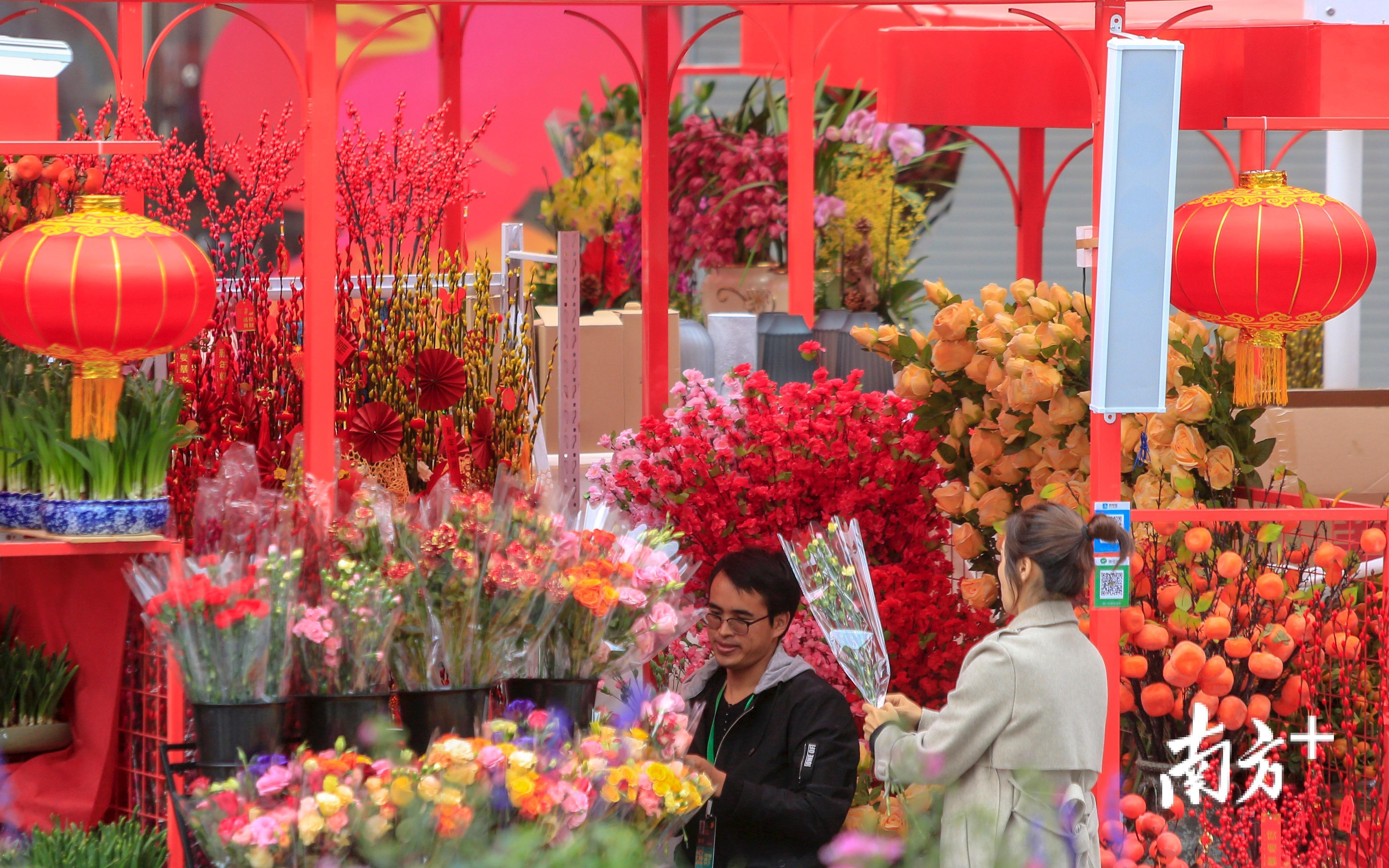 图集深圳迎春花市开市在中心区cbd看图闻花香