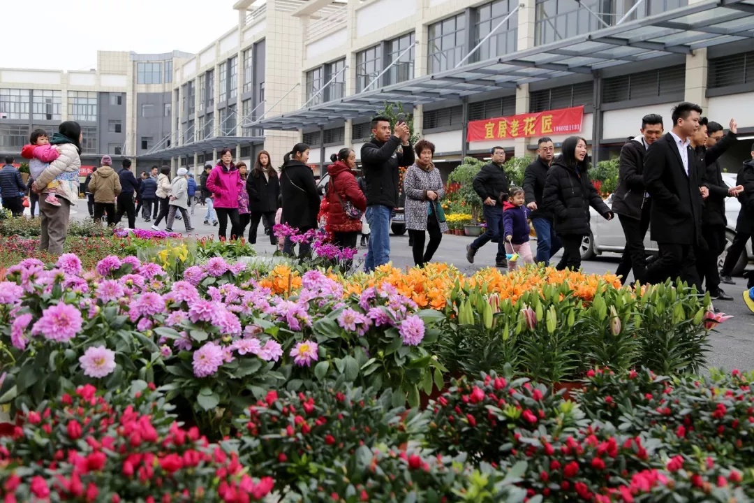 2020年韶关迎春花市18日开市