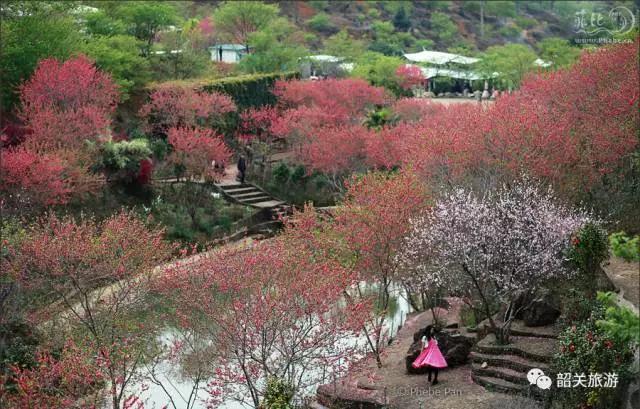 菲比幸福 摄 菲比幸福 摄