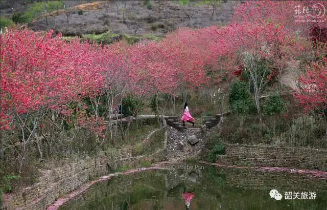 菲比幸福 摄 菲比幸福 摄