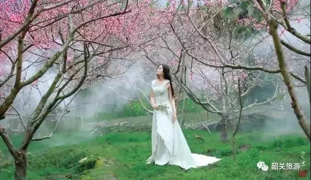 寒流 摄 寒流 摄