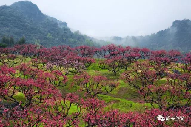 阮群青 摄 阮群青 摄