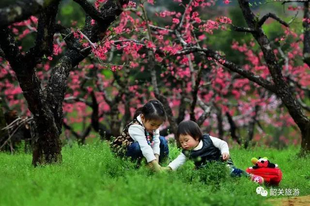 丘立文 摄 丘立文 摄