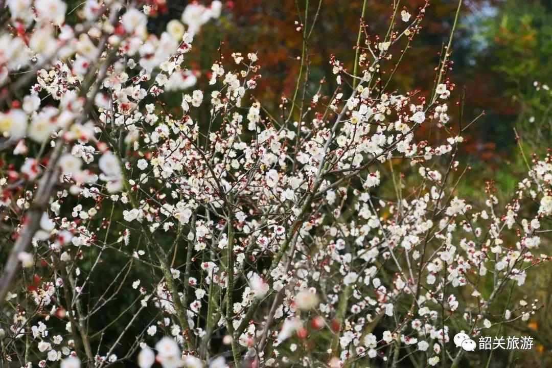 双塘印雪景区 双塘印雪景区