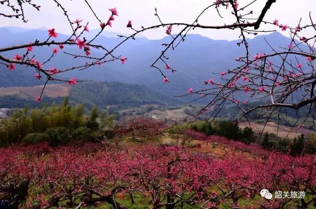 收藏阳光 摄 收藏阳光 摄