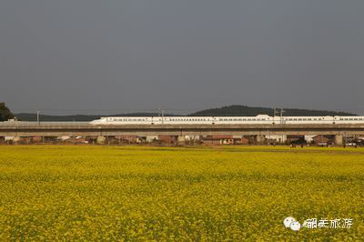 图:小兔妖妖 图:小兔妖妖