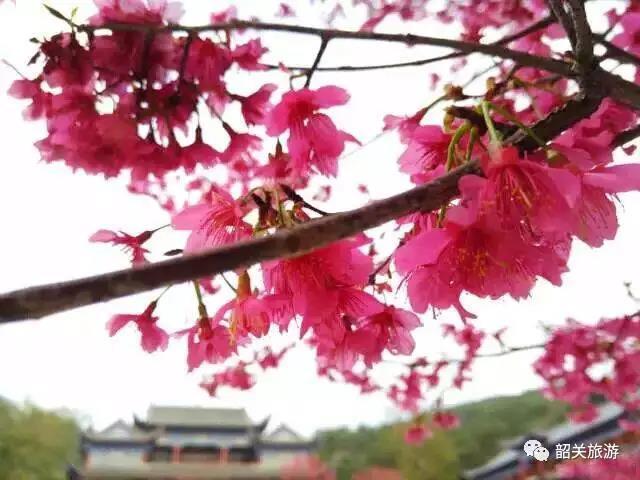 以上三图来源:东华禅寺文化部 以上三图来源:东华禅寺文化部