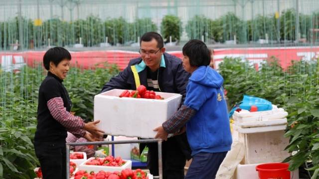 山村脱贫“摘帽”记：中山供电扶贫干部爱洒林洞村