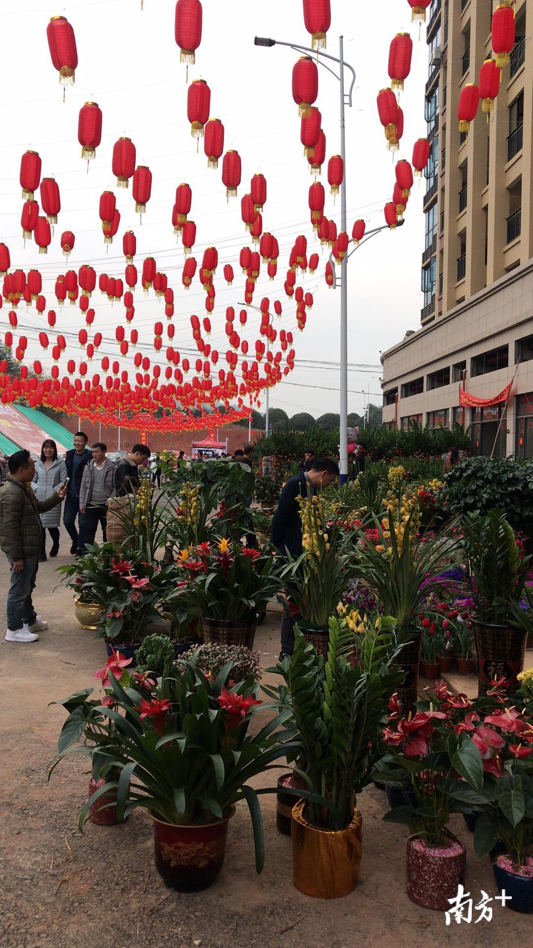 其中,在城北248线与环城路交汇处,大转盘花坛,京珠南与狮岩路交汇口等