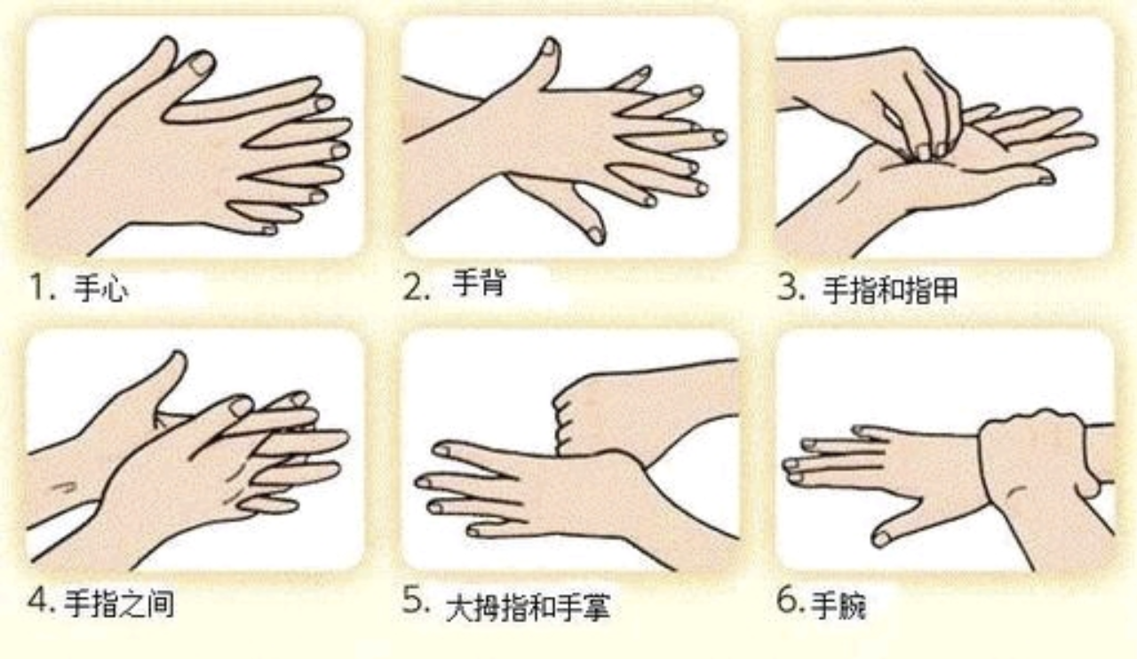 洗手步骤示意图。通讯员供图 洗手步骤示意图。通讯员供图