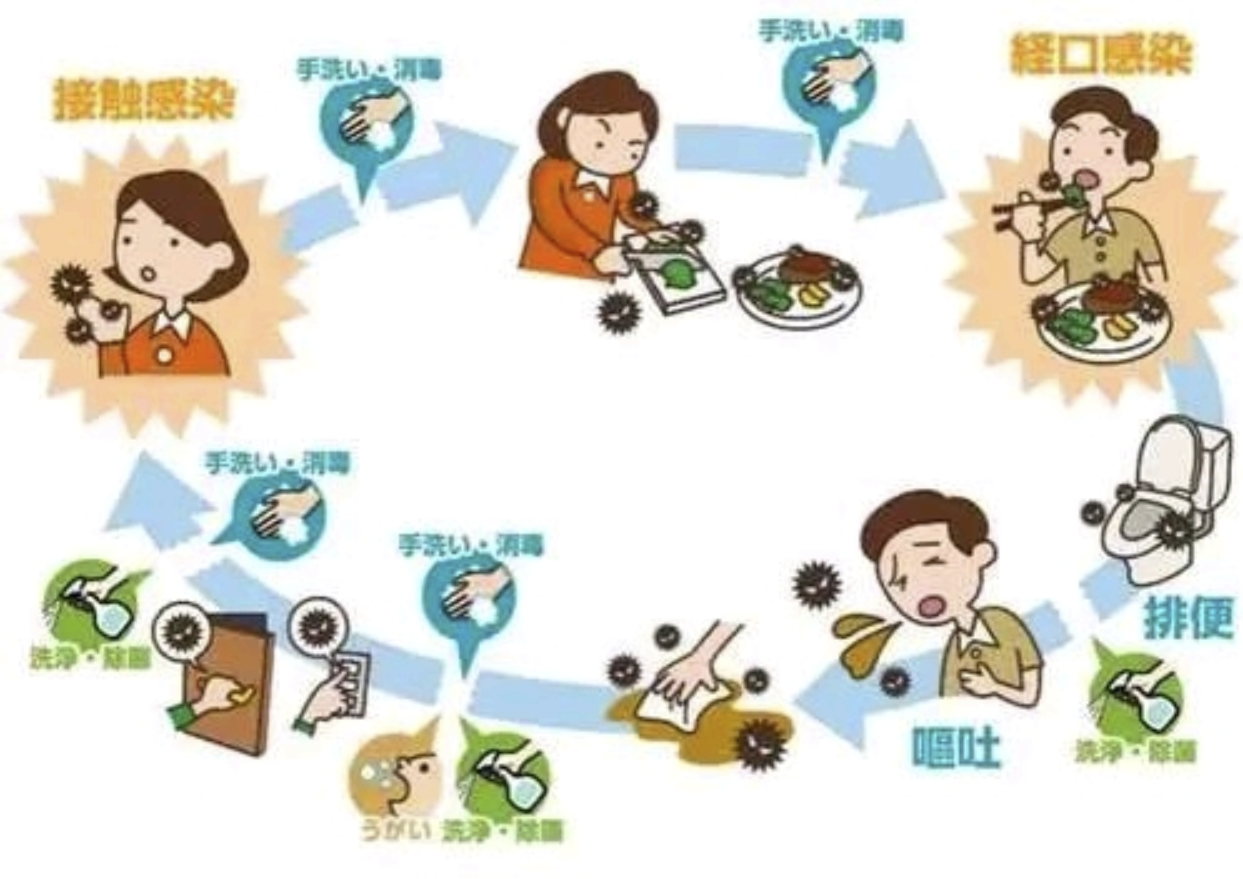 粪口途径传播示意图。通讯员供图 粪口途径传播示意图。通讯员供图