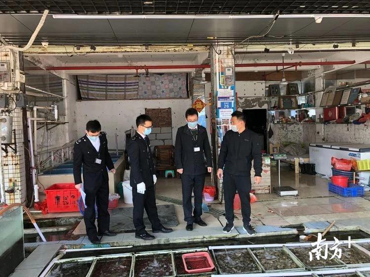执法人员检查南澳双拥码头海鲜街 执法人员检查南澳双拥码头海鲜街