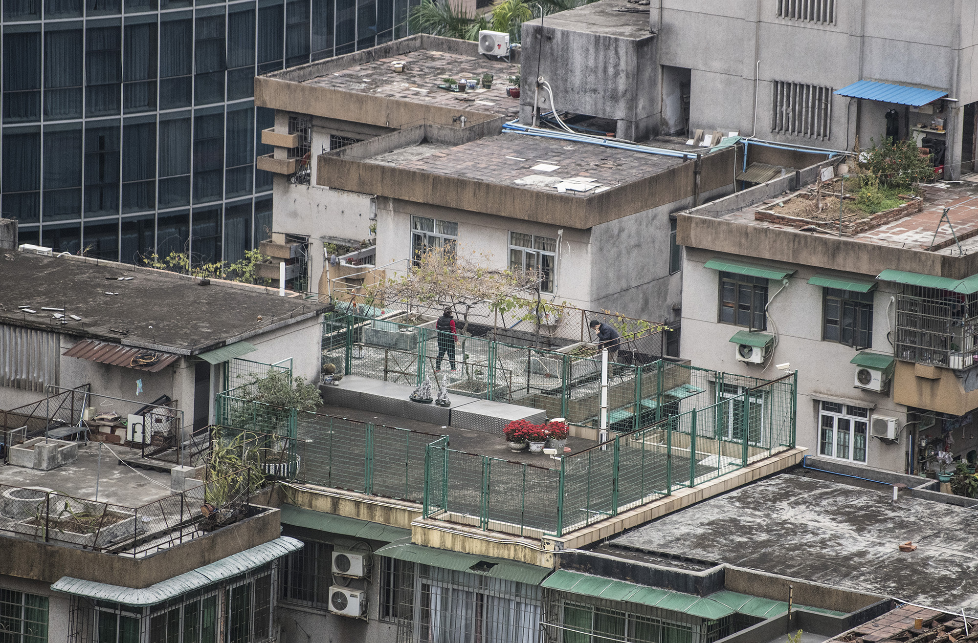 图集|疫情防控关键期,老广纷纷上天台干这事