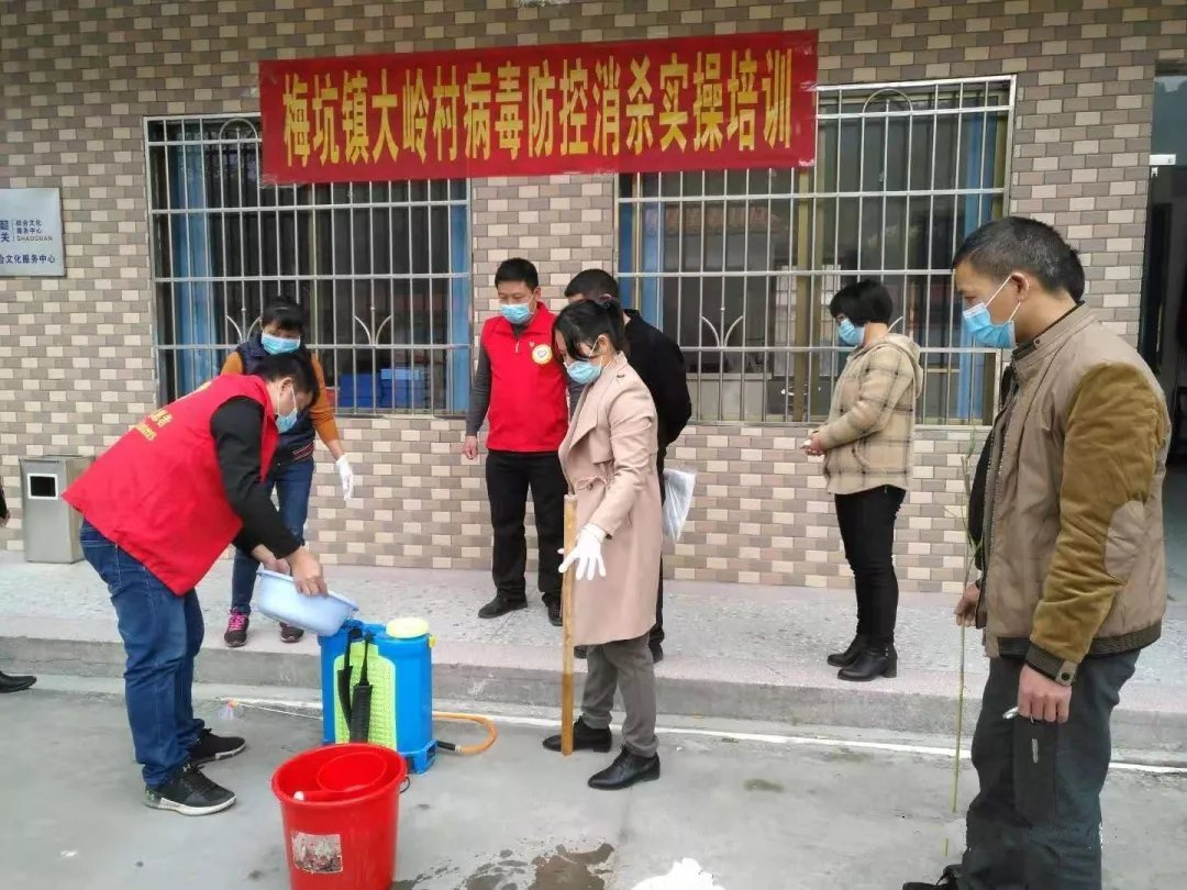 梅坑镇大岭村进行消杀工作培训。