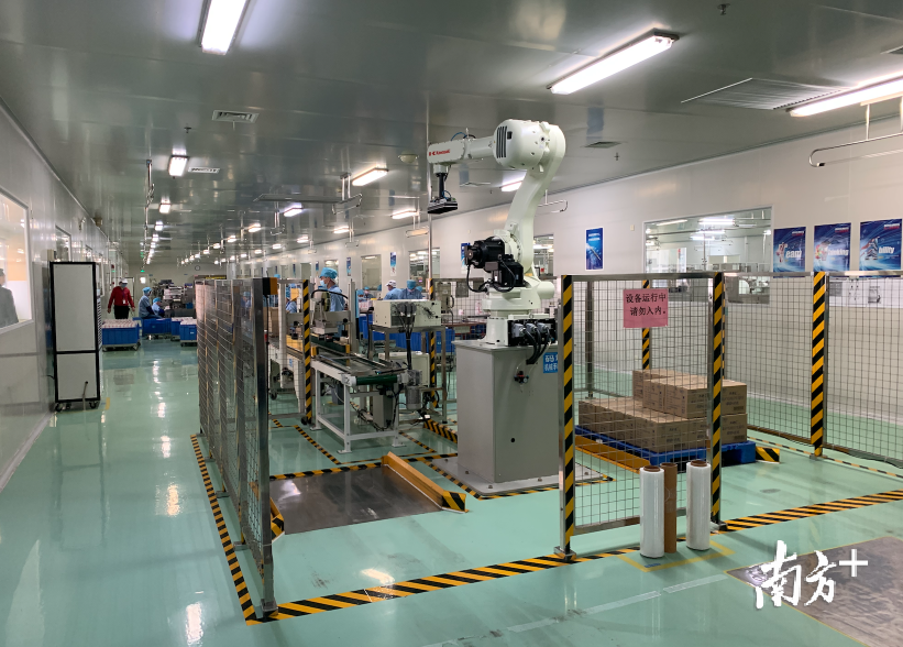 打包完成的产品经过传输带运送，由码垛机器人拾起。李欣 摄