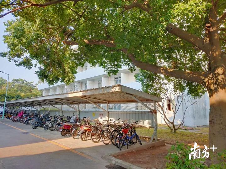 车棚前是一栋用于存放账本的楼房，第四层楼目前闲置。