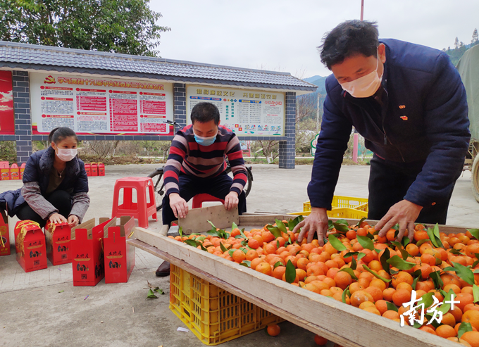 永梅村党总支充分发挥“校+村”合作优势，利用“线上+线下”销售渠道帮助农户解决农产品滞销问题。