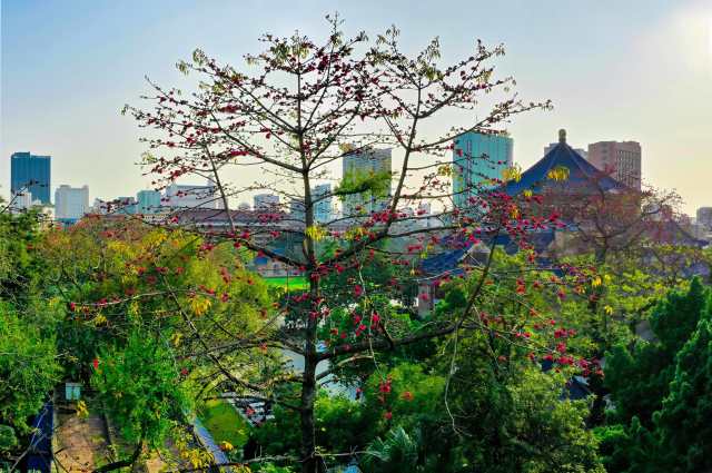 万物复苏的春天，美景在等着我们。