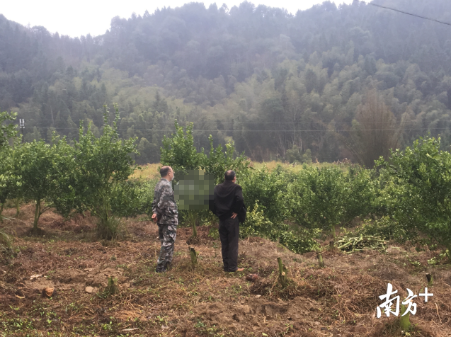 农技人员为农户指导种植技术。