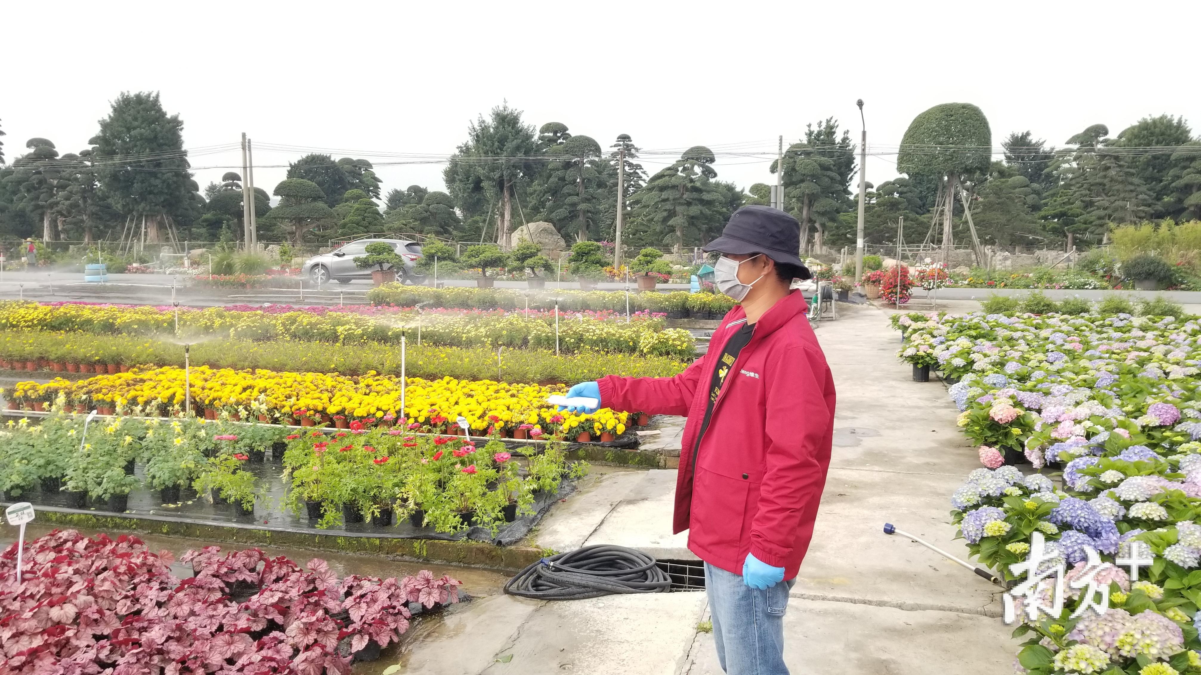 作工作人员使用遥控器指挥智能灌溉系统浇灌花卉。羊建溶 摄