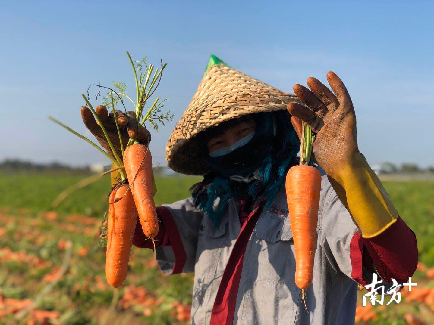 农民笑开颜。余丹 摄