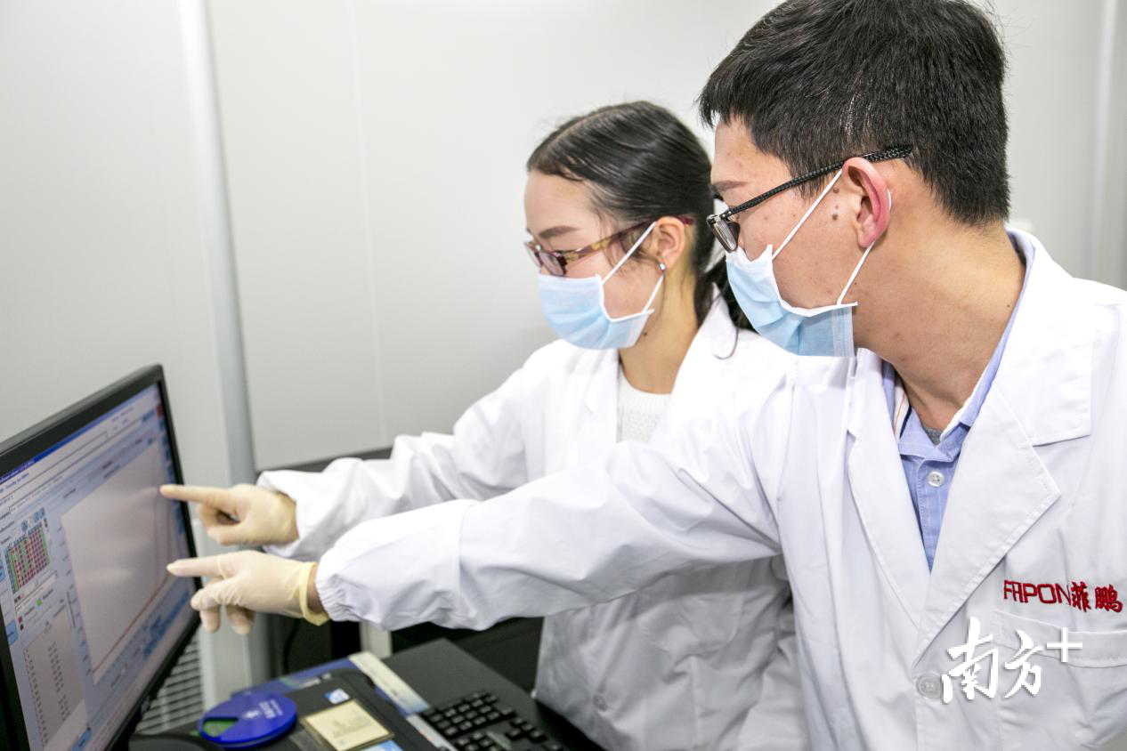 菲鹏生物科研人员在进行技术攻关（图片由企业提供）