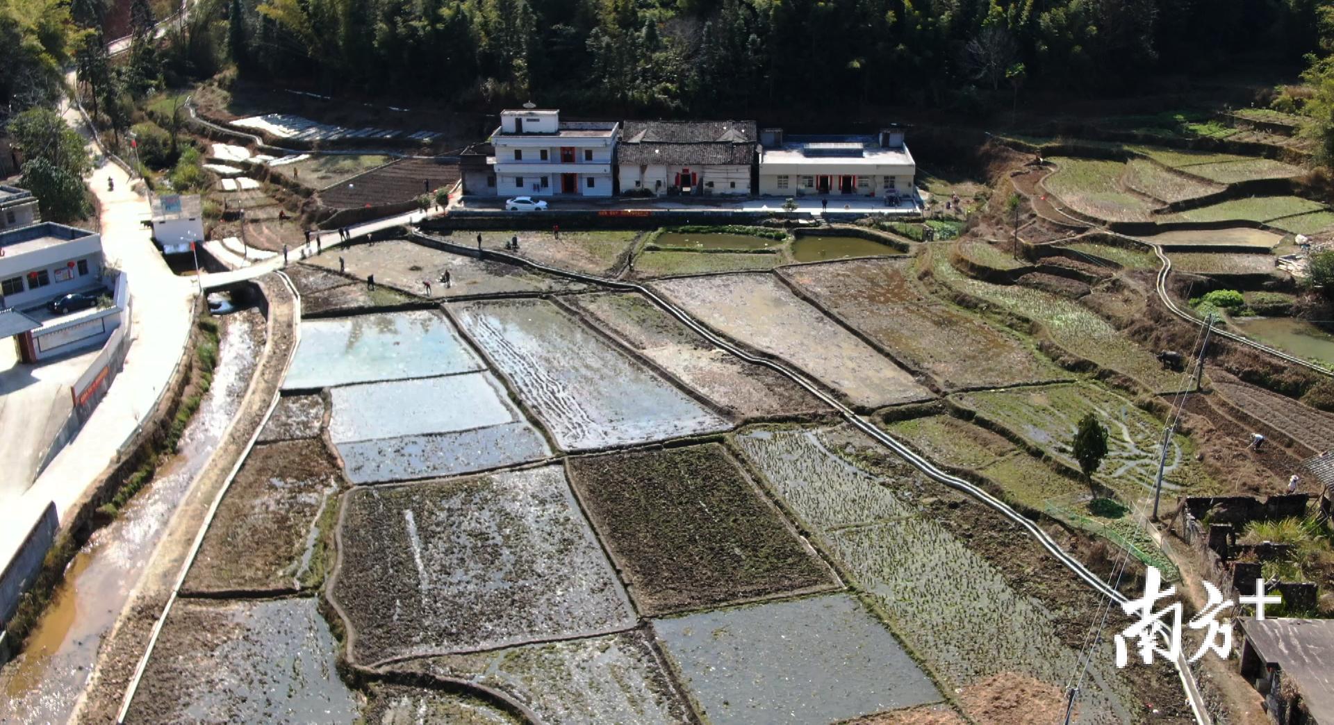 耕田翻地、挖沟起垄、平整土地、播种，通衢镇锦太村田间地头，村民已经开始忙碌起来。