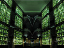 “风月同天”拓片、百年前绿罐凉茶…广东这家博物馆藏着中药防疫秘笈