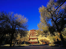 独家 |敦煌研究院院长谈“云看展”等新玩法：对“活化”文物有新启发