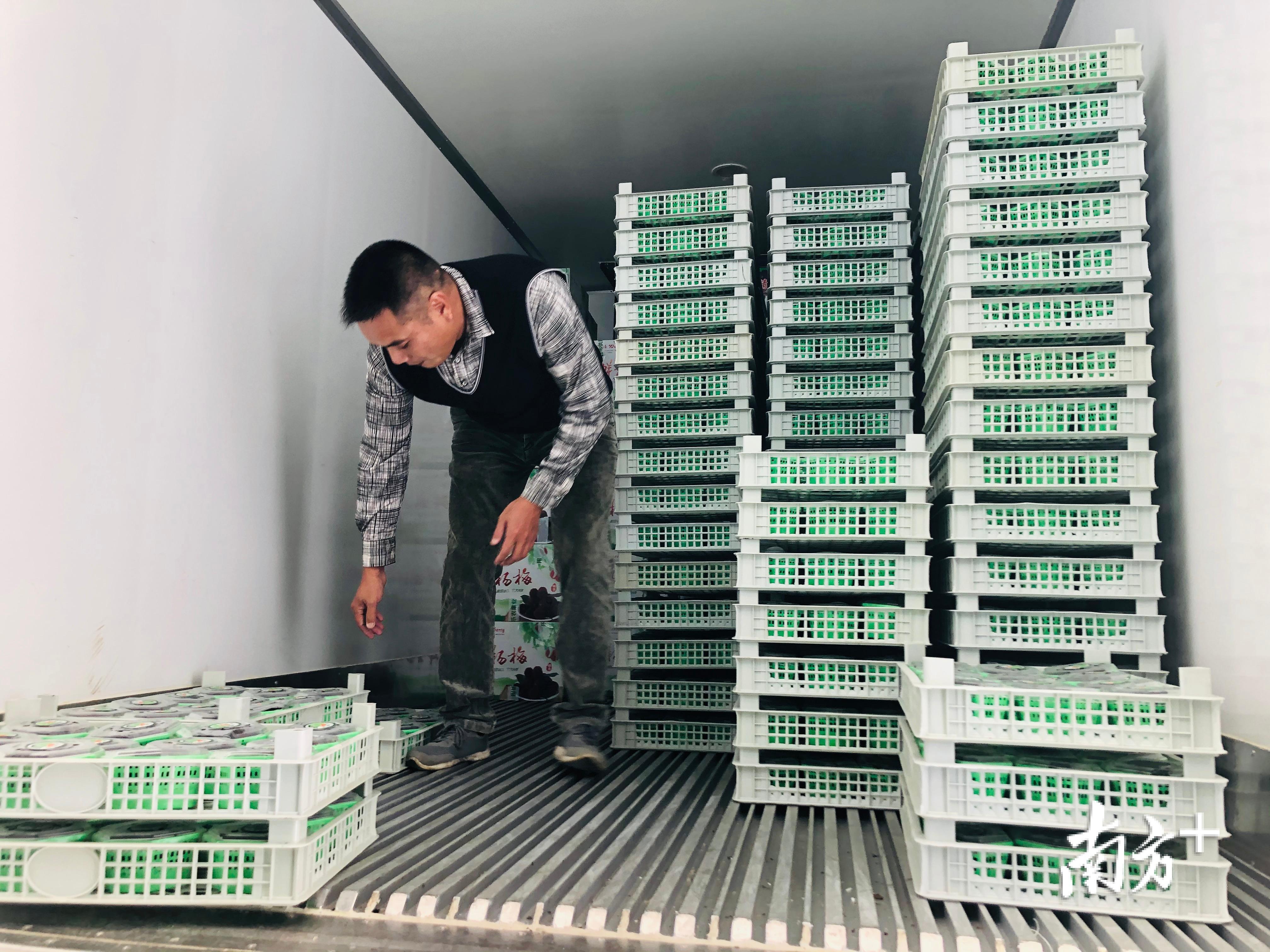 短短一周，30多家企业先后加入接力助农，卖出桑葚近1000吨。