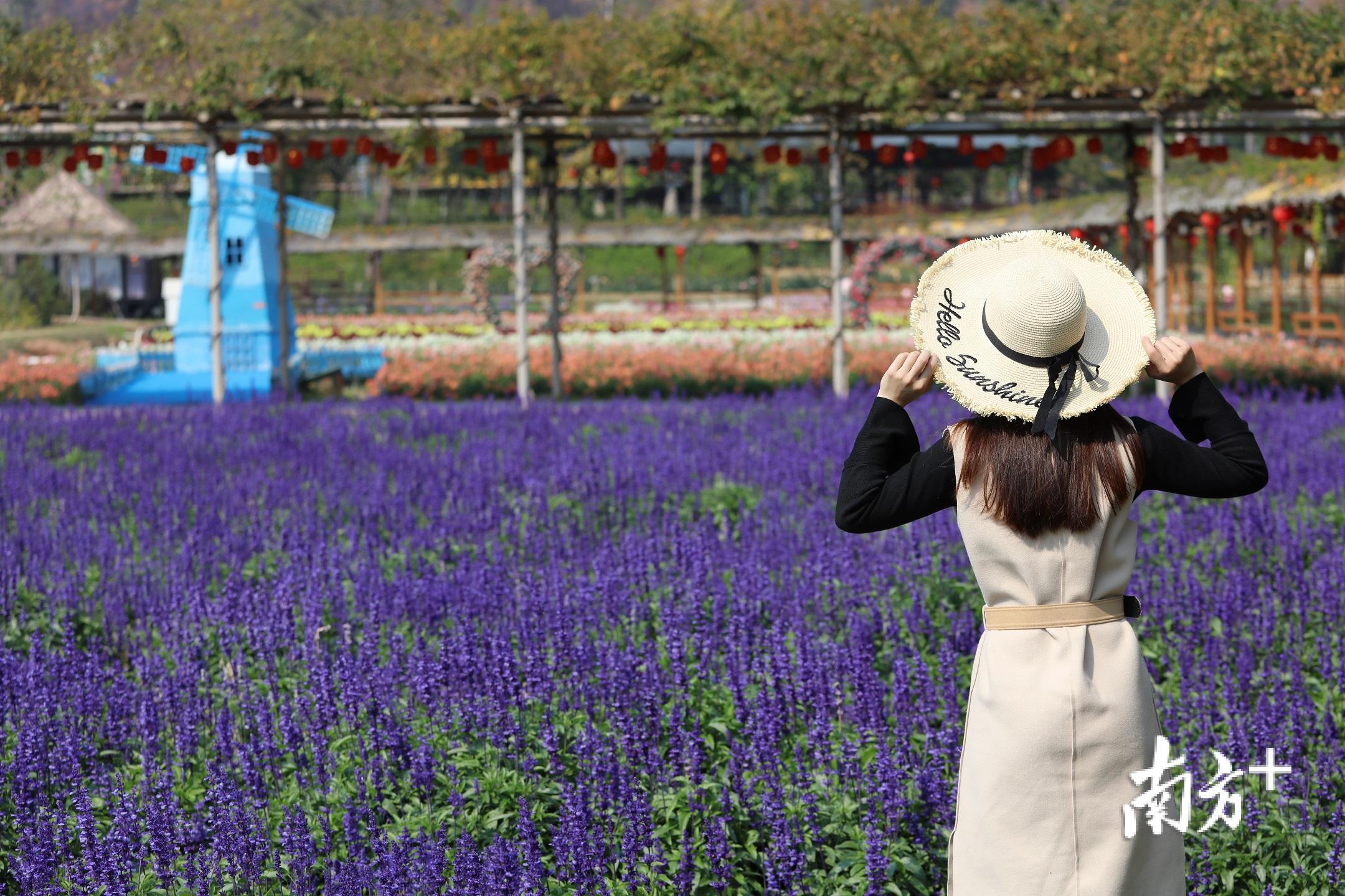 盈香生态园内鲜花盛开，春色满园。盈香供图