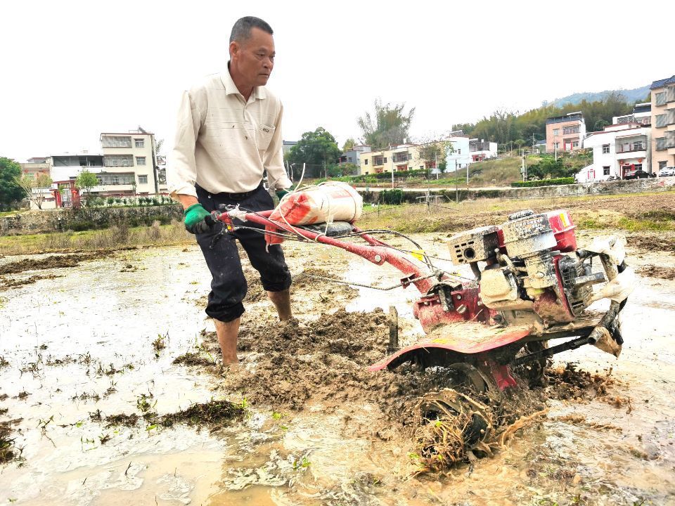 图为内洞村的村民在翻耕农田。