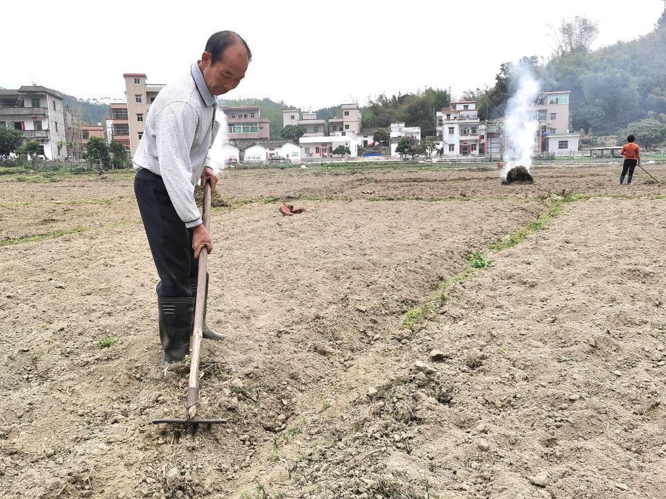 图为村民在整备耕地。