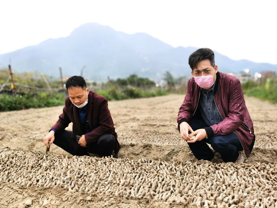 图为深圳市市场监督管理局驻河北村党支部第一书记兼扶贫工作队队长唐东来（右）在地里查看葛根种苗的繁殖情况。