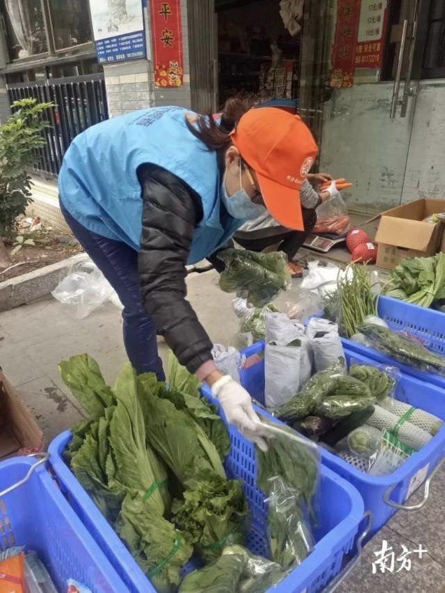 “楼嫂”们努力当好防疫防控“勤务员”“监督员”“宣传员”的角色 “楼嫂”们努力当好防疫防控“勤务员”“监督员”“宣传员”的角色