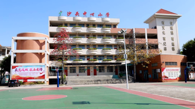 金牌网课|沙头中心小学-体育与健康•居家运动课堂