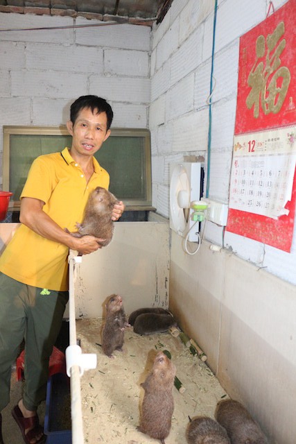 华体会- 华体会体育官网- 华体会体育APP下载农村大哥养猪多少头一年赚20万？附2022养猪赚钱吗