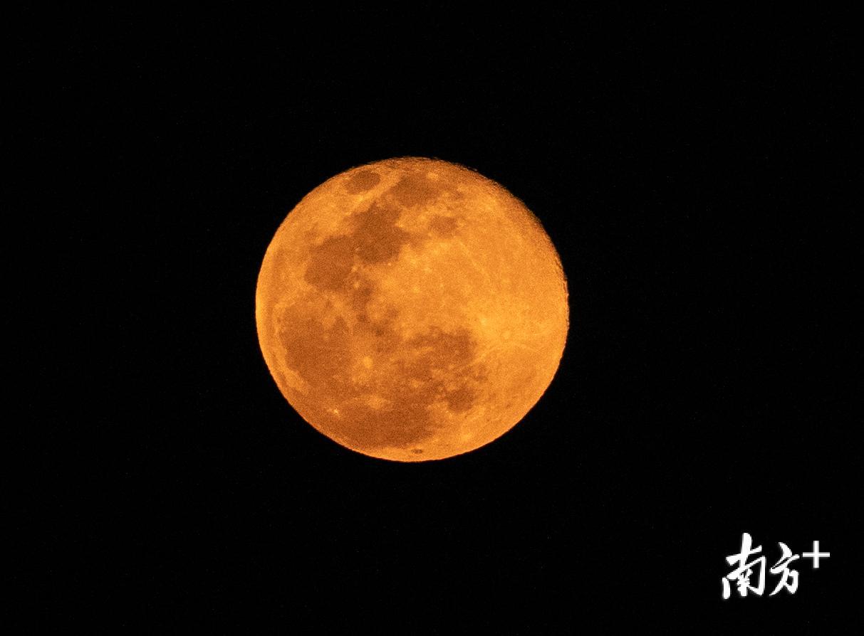 图集|月光光照羊城 超级月亮高高挂