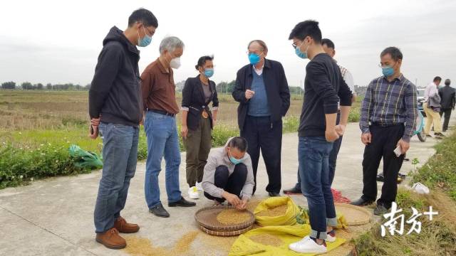 ç½é¡ææå¯¼åæ·