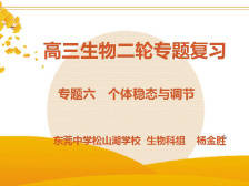 高三备考|生物专题之人体稳态调节与植物激素调节