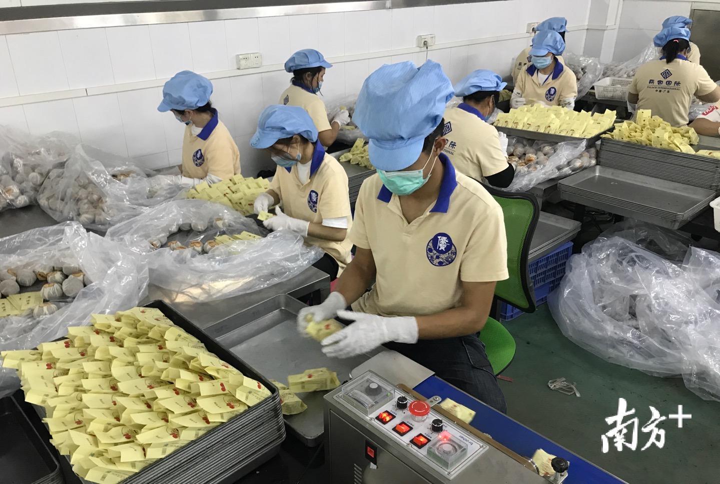 柑普茶生产线包装组员工正在忙碌。李霭莹摄 柑普茶生产线包装组员工正在忙碌。李霭莹摄