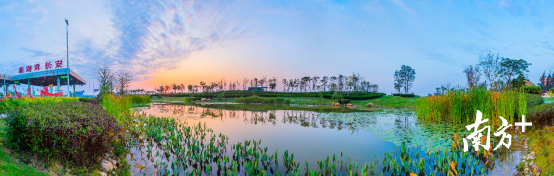 广深沿江高速滨海湾出入口春色怡人