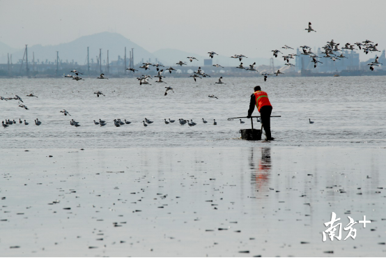 环卫工人清理滩涂