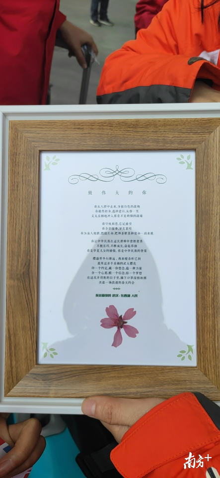 当地志愿者连夜用樱花做成的纪念框，特地送给广东的医护人员。